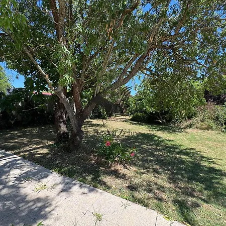 L'amandiers En Fleurs - Située à Deux Minutes Des Plages Сasa de vacaciones *