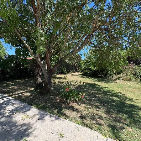 Maison d'hôtes L'amandiers En Fleurs - Situee A Deux Minutes Des Plages *